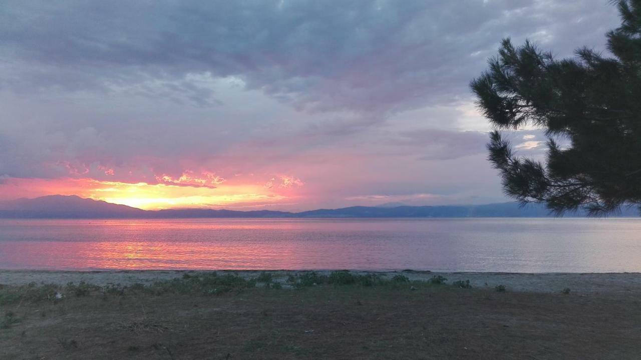 Villa Palma Skala Rachoni  Esterno foto